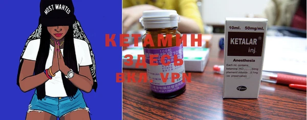 прущие грибы Верея