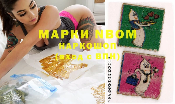 прущие грибы Верея