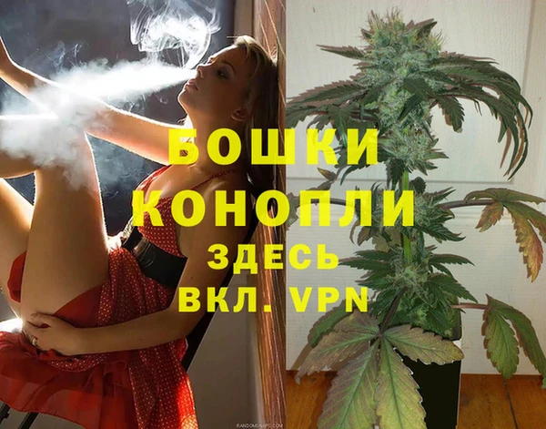 крисы Верхний Тагил