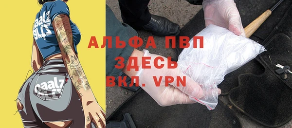 крисы Верхний Тагил