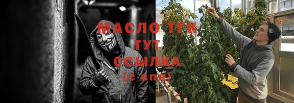 крисы Верхний Тагил