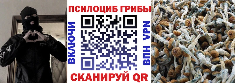 Галлюциногенные грибы MAGIC MUSHROOMS  гидра зеркало  Махачкала 